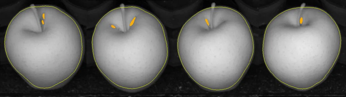 Machine vision